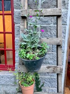 El Bosque 1 Studio en Cerro Otto, Bariloche, Patagonia Argentina