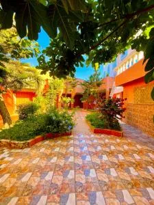 Oceanside Surf & salsa - Аурі