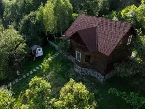 Evyssa Lodge- Cabana in muntii Calimani, Mures - Galoja