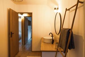 Evyssa Lodge- Cabana in muntii Calimani, Mures