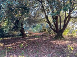 Maisons de vacances Villa centre ville SOULAC sur Mer : photos des chambres