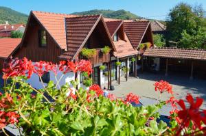 Pensiunea Csűr Panzió