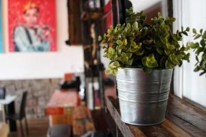 Mexican Loft by LA Casa Cosme in the city center