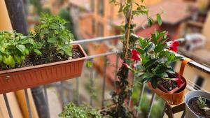 Appartamento nel cuore della città