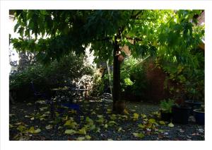 Appartements giteducheminduboutduvillage : photos des chambres