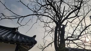 Paju Hanokaeseo Harureul