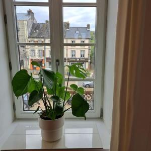 Appartements Lumiere et Confort en Centre Ville : photos des chambres