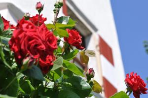 Apartments Schloss Paschbach