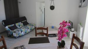 Appartements Les Cactus : photos des chambres