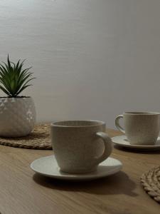 L&B studio apartment