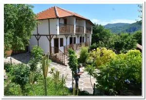 Golemi kamik Pirot Vlasi 2 - Obrenovac