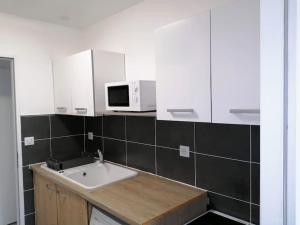 Appartements Studio au coeur de la Vendee : photos des chambres