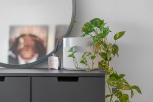 Central 2BD Apartment Kings Park Walk Everywhere