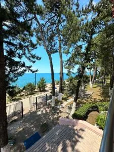 Hotel Solidarity - Ozurgetʼi