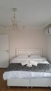 PARADISE COMPANy - Cimenli