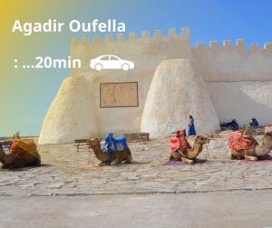 dar adrar au Coeur d Agadir