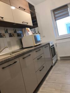 Studio David Techirghiol