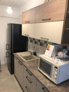 Studio David Techirghiol