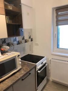 Studio David Techirghiol