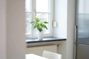 Ferienhaus mit gemütlichen Freisitz für bis zu 10Personen