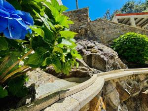 Holibai, Vila Natercia, Horizontes de Galicia, Casa de Piedra y Mar, Baiona