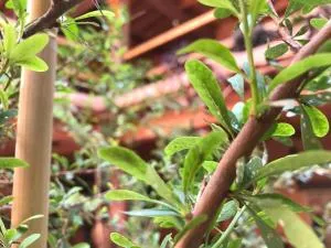 asrir cultural space - Tiznit