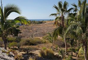 The Cozy Nest - Best Kept Secret in Todos Santos