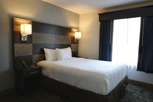 Efficiency Queen Suite - Accessible/Non Smoking room in GrandStay Residential Suites - Madison East