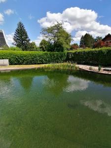 Morning Glory, Huisje Dahlia