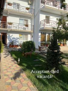 Casa Flory & Crystiana