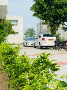 The Venetian Homestay