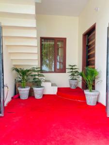 The Venetian Homestay