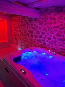 Maisons de vacances Maison 2 a 4 pers Spa Sauna : photos des chambres