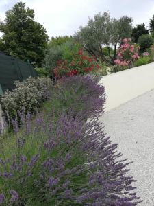 Appartements Sophie et Jamiel : photos des chambres