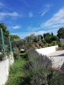 Appartements Sophie et Jamiel : photos des chambres