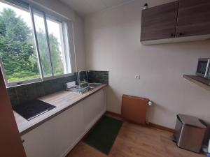 Appartements Appartement theme jungle : photos des chambres