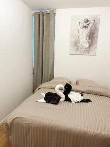 RM-0 - Joli 2 pièces tout équipé au RDC à Mulhouse pour 1-3 pers