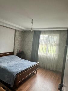 Tamar zarandia- guest house