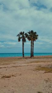 Apartamento playa Moncofa-Chilches