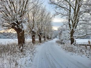 Kranich - Stilvolles Ferien-Apartment am Naturschutzgebiet Dosenmoor