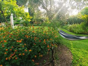 Villa Prato Agriturismo