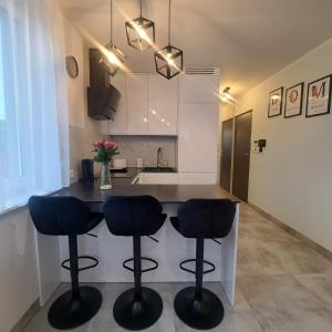 Apartament Gotowizna