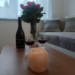 Apartament Gotowizna