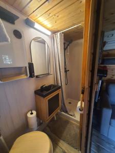 Chalet savoyard "le Sapinet"