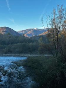 La Cheminée - Chambres d'hôtes avec bar-restaurant