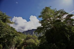 Mountain Harmony Home