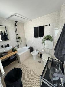 PrincipeAmedeo apartment 89 steps to the terrace