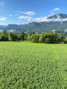 Luxe appartement in Zuid Karinthië