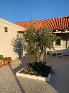 Casa do Avô Ezequiel - Cabrela