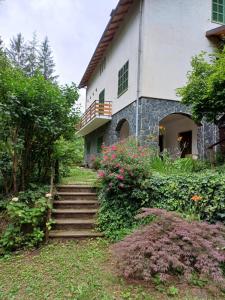 La casa di nonna Angela